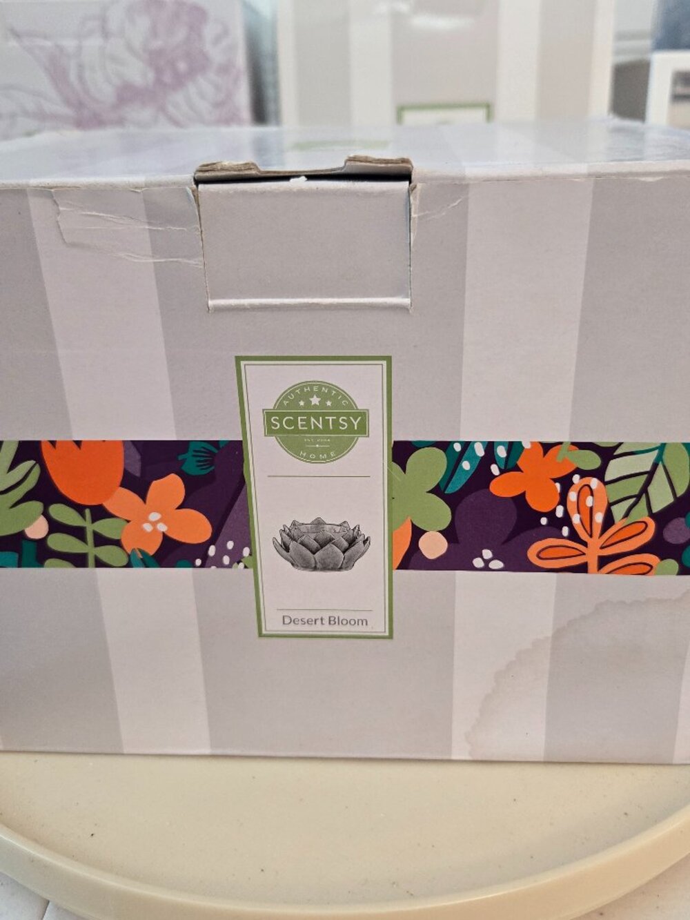 Scentsy Desert Bloom Electric Plug In Wax Warmer Green Ceramic Succulent Decor